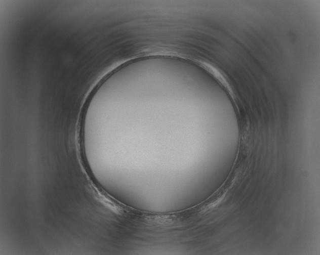 X0000073451149200608181232