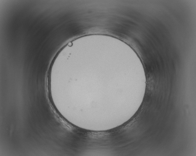 X0000073451150200608181232