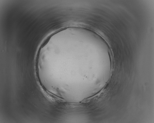 X0000073451152200608181232