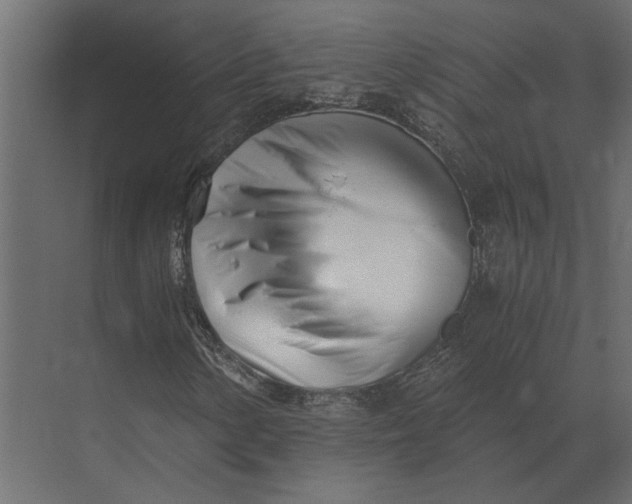 X0000073451154200608181231