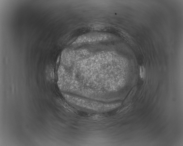 X0000073451155200608181231