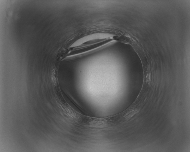 X0000073451156200608181231