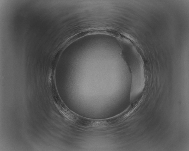 X0000073451161200608181231