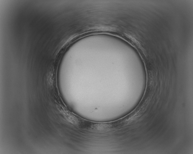 X0000073451163200608181231