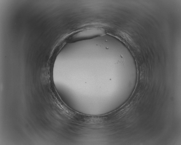 X0000073451164200608181231