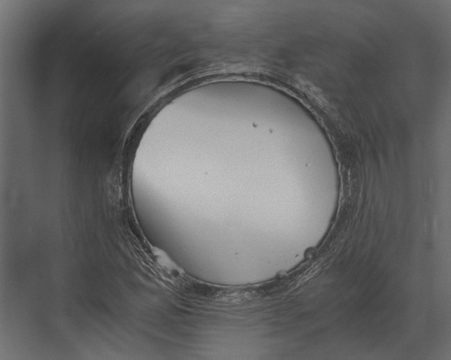 X0000073451165200608181231