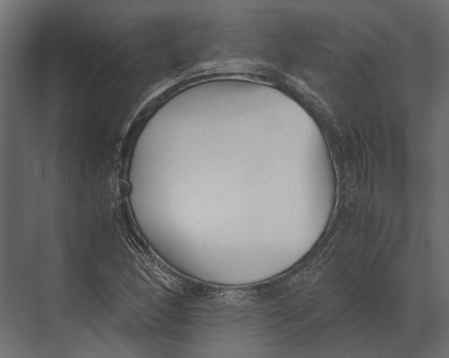 X0000073451166200608181231