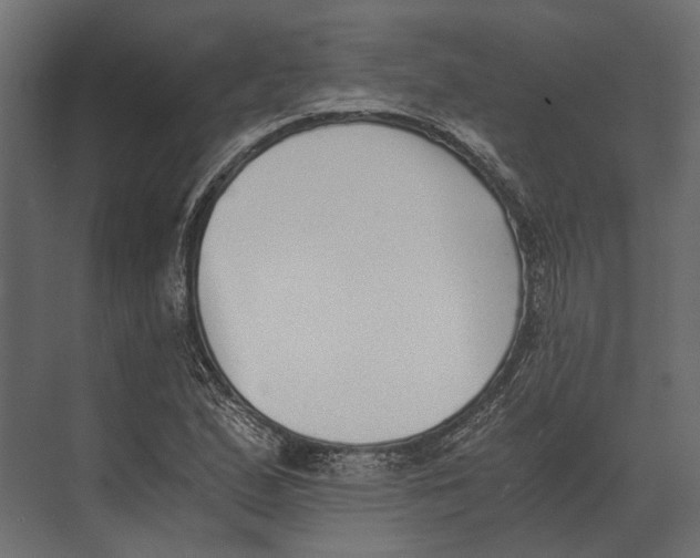 X0000073451167200608181231