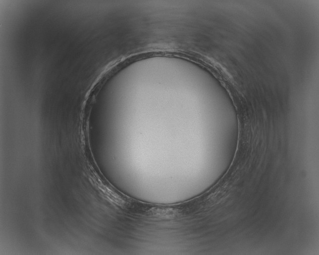 X0000073451168200608181231