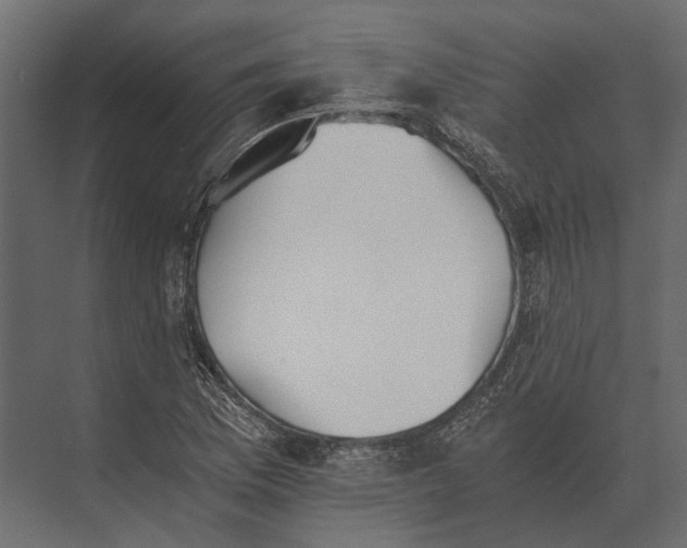 X0000073451169200608181231