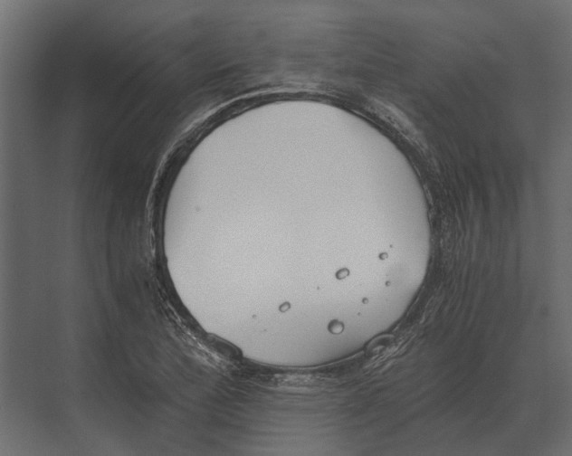 X0000073451172200608181231