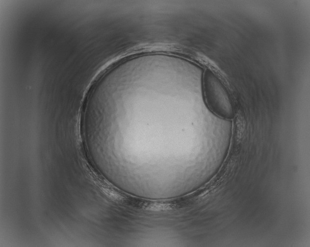 X0000073451174200608181231