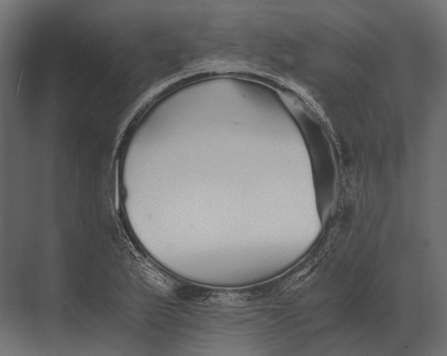 X0000073451175200608181231