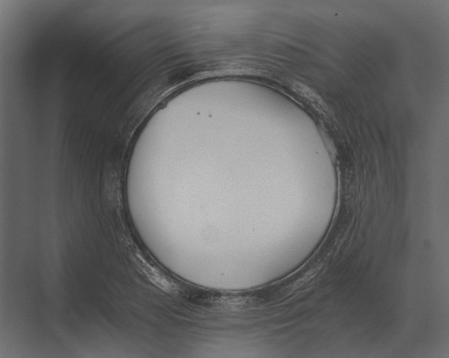 X0000073451177200608181231