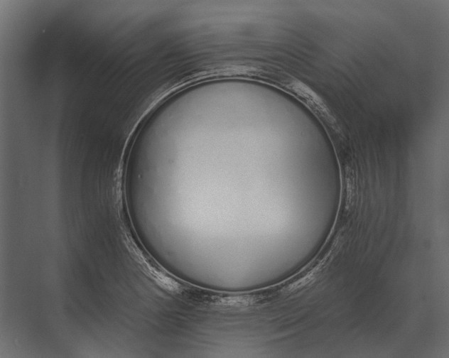 X0000073451178200608181231