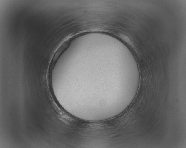 X0000073451181200608181231