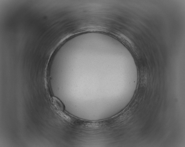 X0000073451182200608181231