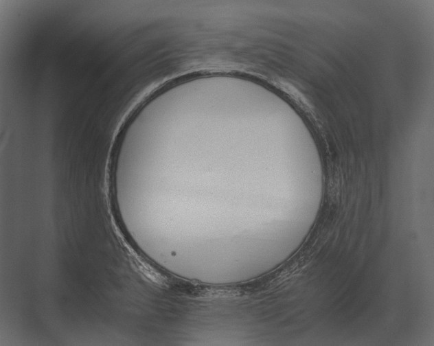 X0000073451183200608181231