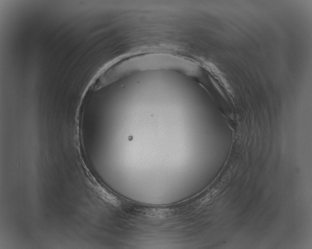 X0000073451184200608181231