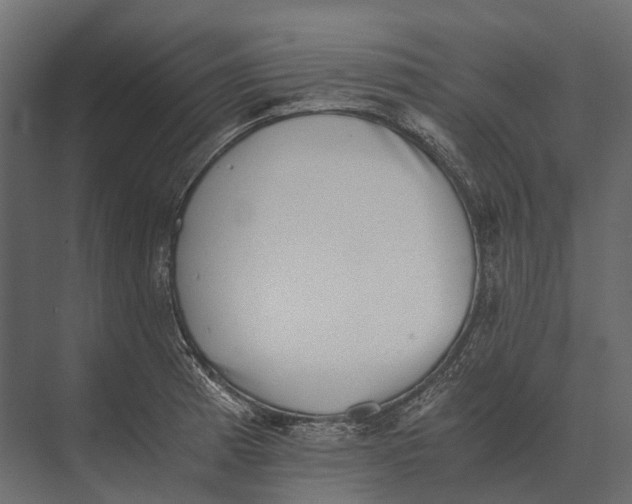 X0000073451185200608181231