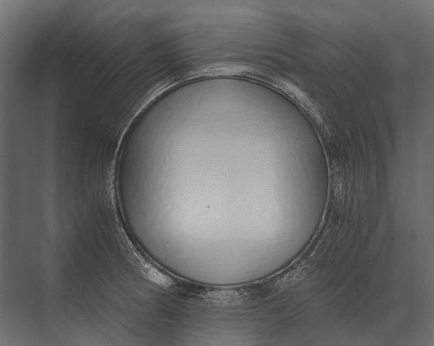 X0000073451186200608181231