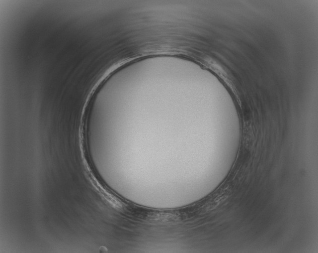 X0000073451187200608181231