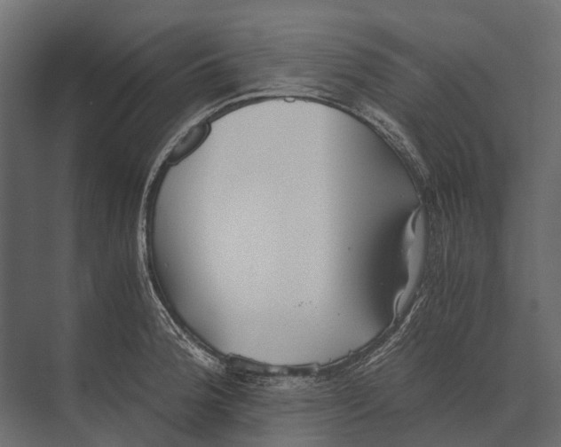 X0000073451188200608181231