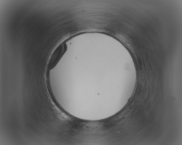 X0000073451189200608181231