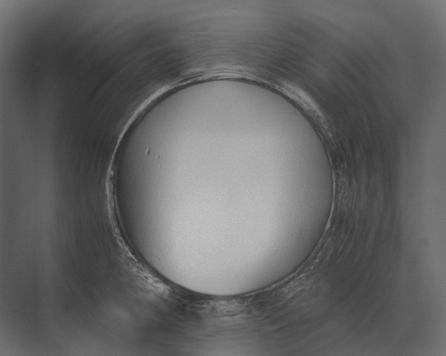 X0000073451190200608181231