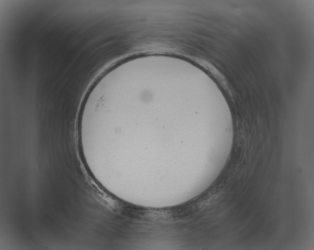 X0000073451191200608181231