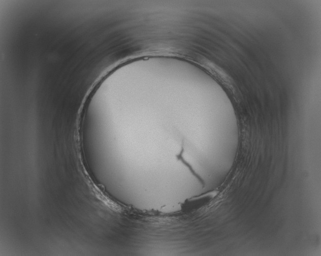 X0000073451192200608181231