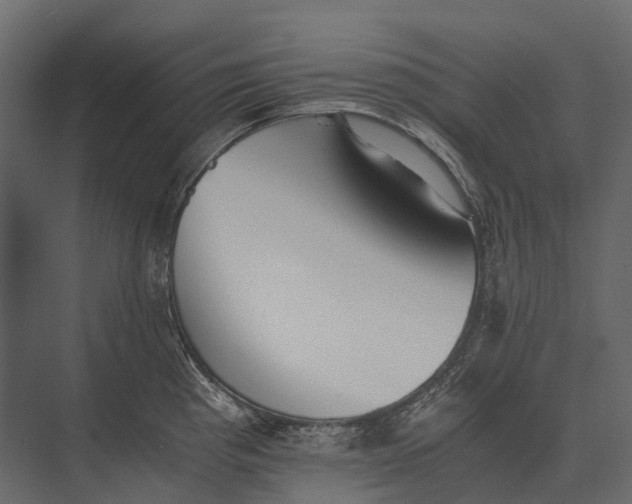 X0000073451193200608181231