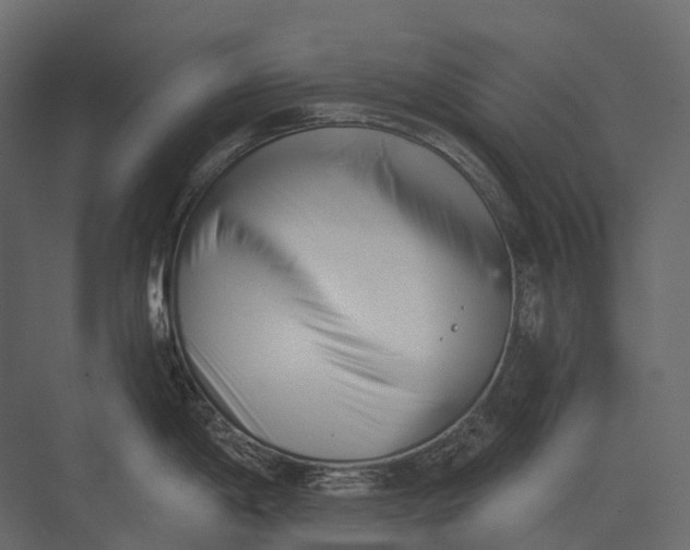 X0000073451198200608181230