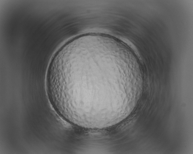 X0000073451199200608181230