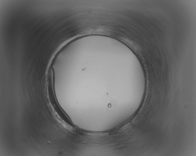 X0000073451200200608181230