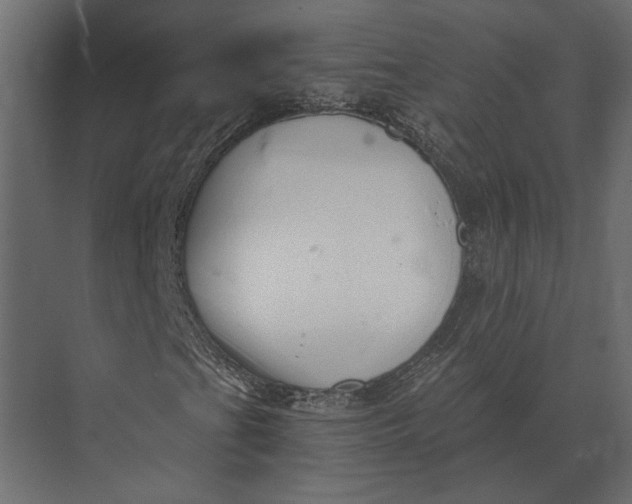 X0000073451201200608181230