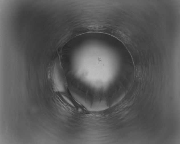 X0000073451202200608181230