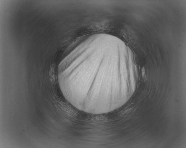 X0000073451203200608181230