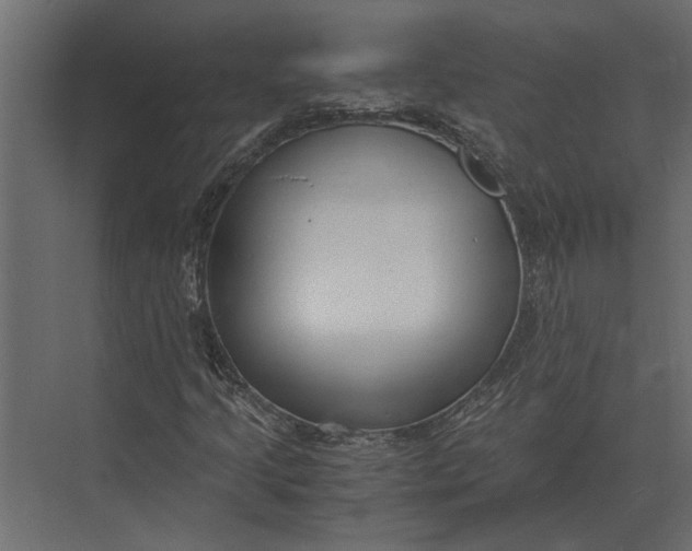 X0000073451205200608181230