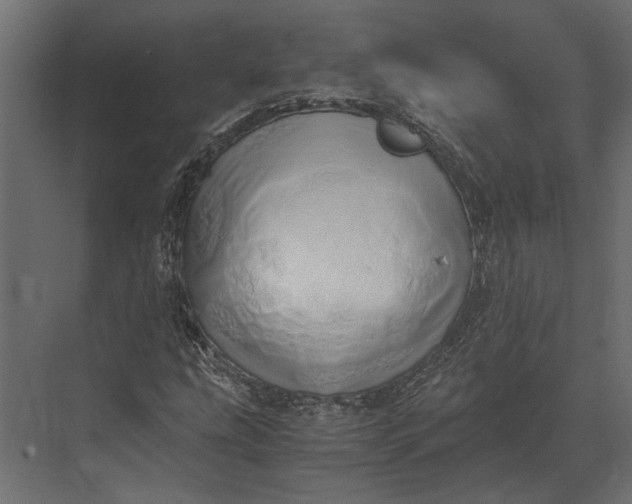 X0000073451207200608181230