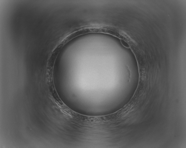 X0000073451208200608181230