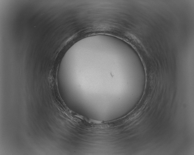 X0000073451210200608181230