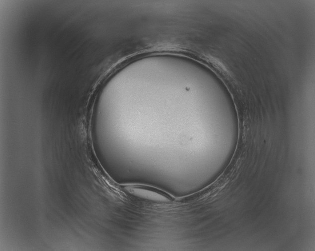 X0000073451212200608181230