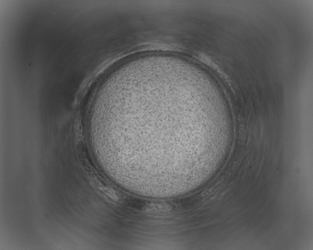 X0000073451215200608181230