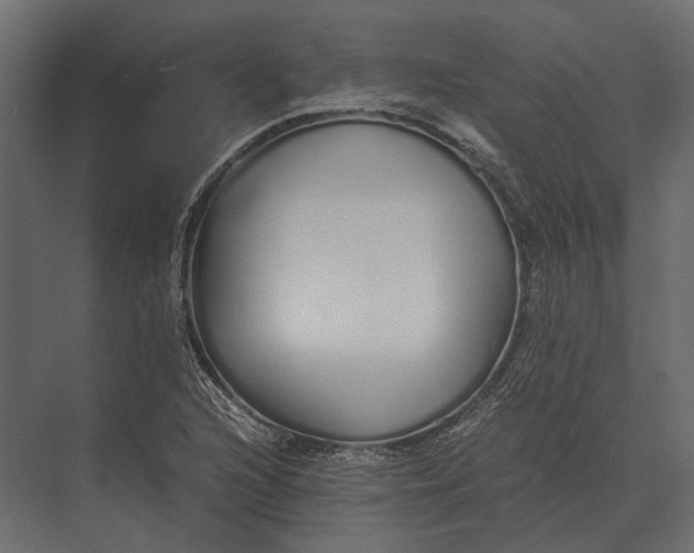 X0000073451216200608181230