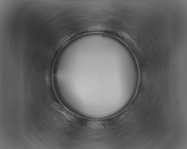 X0000073451217200608181230