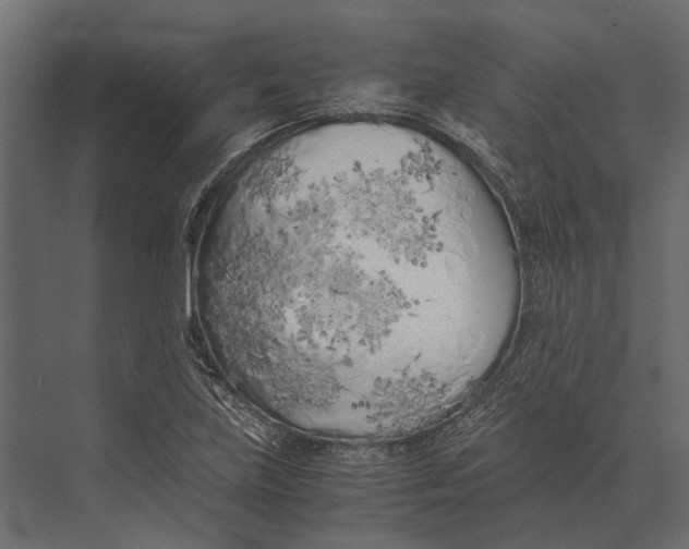 X0000073451219200608181230