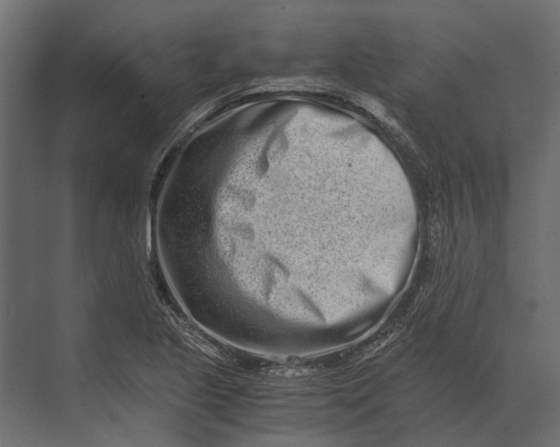 X0000073451221200608181230