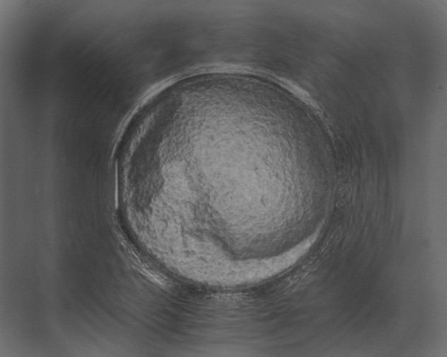 X0000073451223200608181230