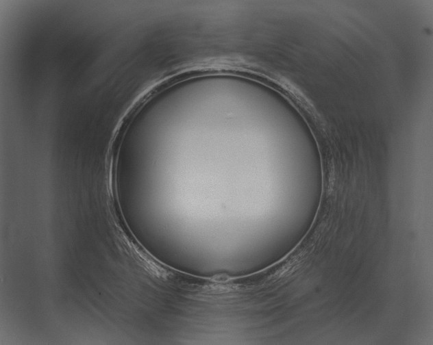 X0000073451224200608181230